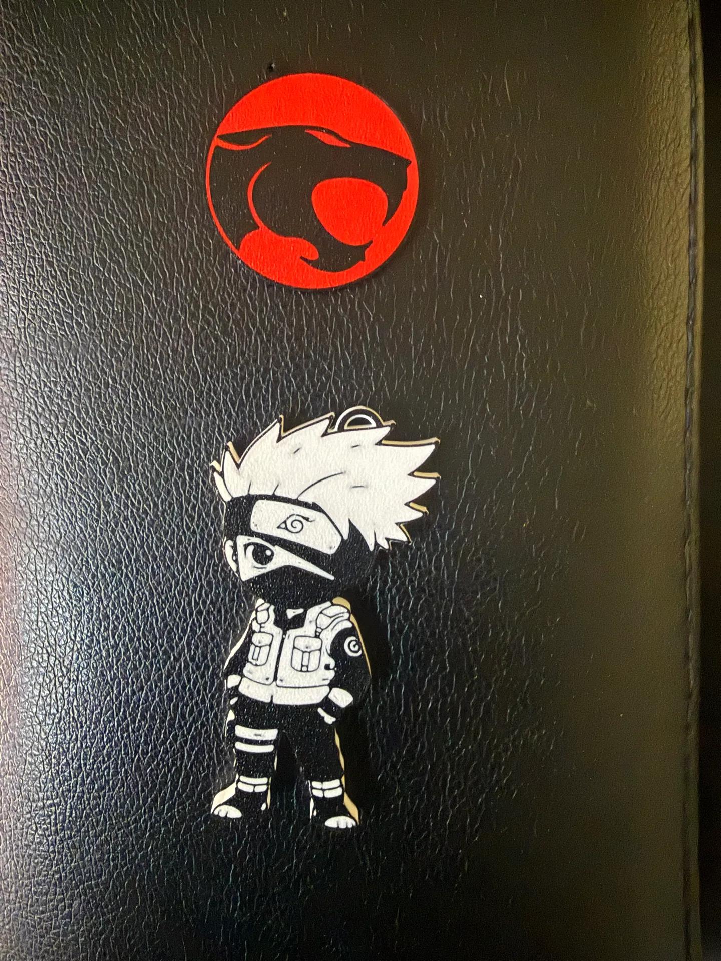 Client photo index 0, cropped square and tight to the two printed emblems (the red ThunderCats-style logo and the chibi